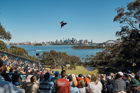 Sydney Taronga Zoo General Entry Ticket And Wild Australia Experience - Surfers Gold Coast 5