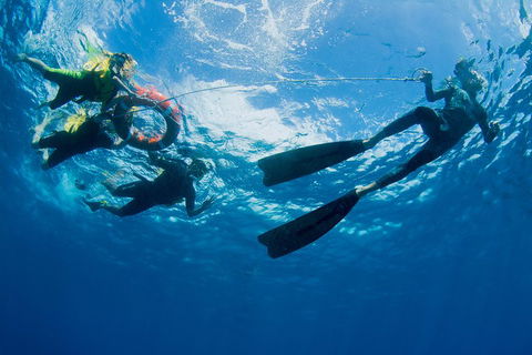 Passions Of Paradise Great Barrier Reef Snorkel And Dive Cruise From Cairns By Luxury Catamaran - Surfers Gold Coast 2