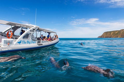 Victor Harbor And McLaren Vale Wine Region Day Tour - Surfers Gold Coast 1
