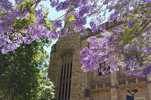 Cultural Caper Adelaide Walking Tour - Surfers Gold Coast 1