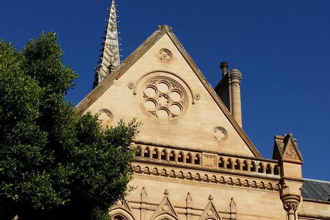 Cultural Caper Adelaide Walking Tour - Surfers Gold Coast 3