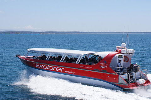 Whale Watching Jervis Bay - Surfers Gold Coast 1