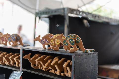 Full Coverage Sydney Private City Tour - Surfers Gold Coast 0