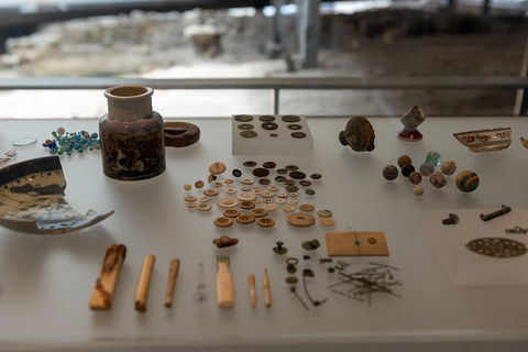 Full Coverage Sydney Private City Tour - Surfers Gold Coast 1