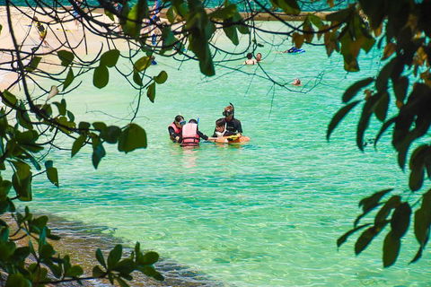 Green Island Day Trip From Cairns - Surfers Gold Coast 2