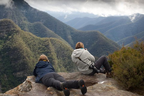 Inside The Greater Blue Mountains World Heritage - A Private Wildlife Safari Overnight - Surfers Gold Coast 0