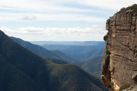 Inside The Greater Blue Mountains World Heritage - A Private Wildlife Safari Overnight - Surfers Gold Coast 4