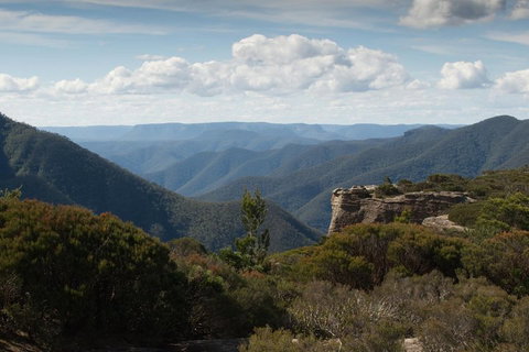 Inside The Greater Blue Mountains World Heritage - A Private Wildlife Safari Overnight - Surfers Gold Coast 5
