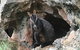 Inside The Greater Blue Mountains World Heritage - A Wildlife Safari Overnight - thumb 1