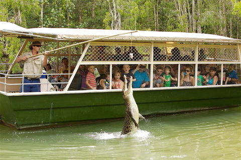 Hartley's Crocodile Adventure Half-Day Tour - Surfers Gold Coast 0