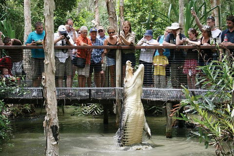 Hartley's Crocodile Adventure Half-Day Tour - Surfers Gold Coast 1