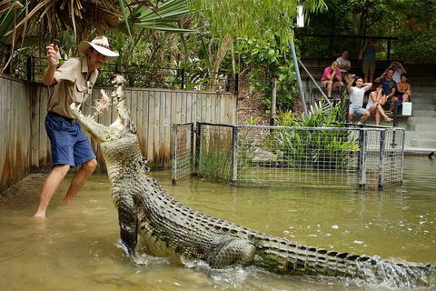 Hartley's Crocodile Adventure Half-Day Tour - Surfers Gold Coast 2