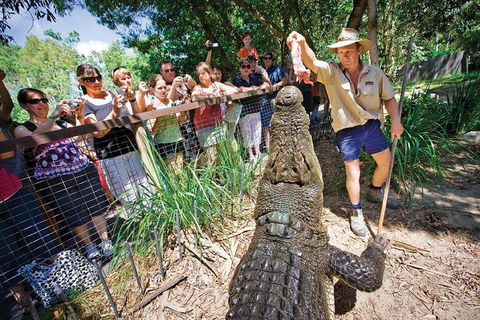 Hartley's Crocodile Adventure Half-Day Tour - Surfers Gold Coast 4