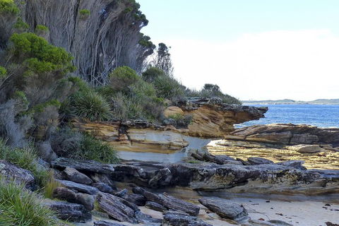 Day Trip To Cronulla & The Royal National Park - Surfers Gold Coast 4