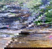 Central Coast Private Tour From Sydney with Australian Reptile Park Option - Surfers Gold Coast