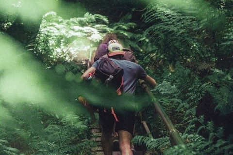 Private Day Trip At The Blue Mountains - Surfers Gold Coast 3