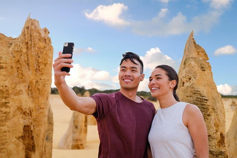 Pinnacles Desert, Koalas And Sandboarding 4WD Day Tour From Perth - Surfers Gold Coast 4
