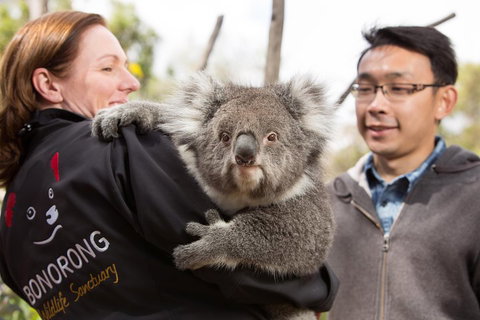 Bonorong Wildlife Park And Richmond Afternoon Tour From Hobart - Surfers Gold Coast 0