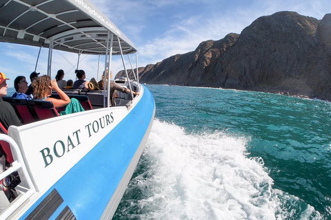 Southern Ocean Adventure From Victor Harbor - Surfers Gold Coast 0