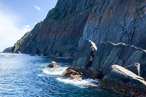 Southern Ocean Adventure From Victor Harbor - Surfers Gold Coast 3