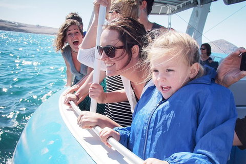 Southern Ocean Adventure From Victor Harbor - Surfers Gold Coast 4