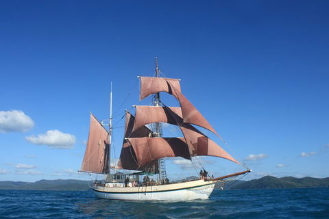 Sydney Harbour Tall Ship Whale & Sail - Whale Watching Cruise - Surfers Gold Coast 1