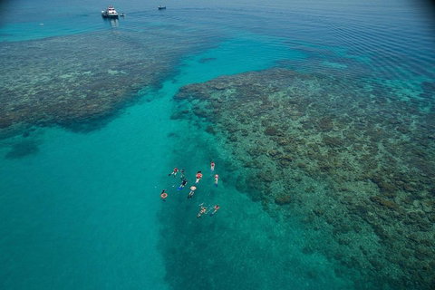 Ocean Freedom Great Barrier Reef Personal Luxury Snorkel & Dive Cruise, Cairns - Surfers Gold Coast 3