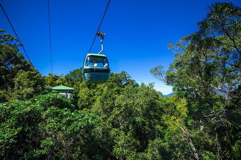 Classic Kuranda By Skyrail And Scenic Railway Including Rainforestation, Koala And Wildlife Park And Pamagirri Aboriginal Experi - Surfers Gold Coast 0