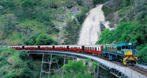 Classic Kuranda By Skyrail And Scenic Railway Including Rainforestation, Koala And Wildlife Park And Pamagirri Aboriginal Experi - Surfers Gold Coast 1