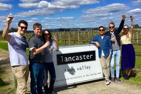 Swan Valley Tour From Perth: Wine, Beer And Chocolate Tastings - Surfers Gold Coast 1