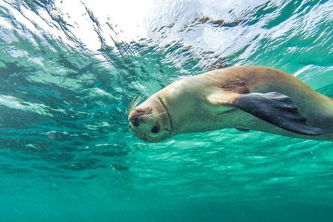 10-Day Adelaide To Perth Adventure Tour - Surfers Gold Coast 1