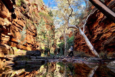 10-Day Adelaide To Perth Adventure Tour - Surfers Gold Coast 5