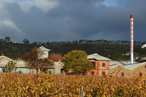 Penfolds Magill Estate Iconic Experience - Surfers Gold Coast 3