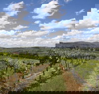 Hunter Valley Wine Tour from Sydney incl Lunch Cheese Chocolate and Distillery - Surfers Gold Coast