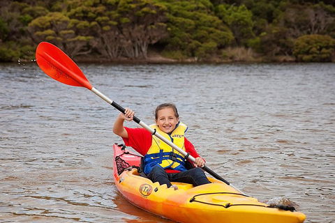 Kangaroo Island Self-Guided Kayaking On The Harriet River - Surfers Gold Coast 1