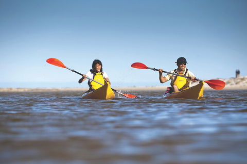 Kangaroo Island Self-Guided Kayaking On The Harriet River - Surfers Gold Coast 2