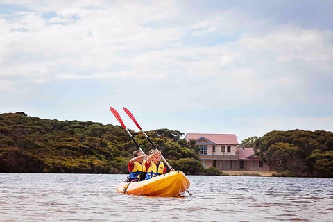 Kangaroo Island Self-Guided Kayaking On The Harriet River - Surfers Gold Coast 5