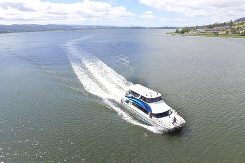 2.5 Hour Morning Discovery Cruise Including Sailing Into The Cataract Gorge - Surfers Gold Coast 2