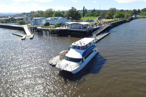 2.5 Hour Morning Discovery Cruise Including Sailing Into The Cataract Gorge - Surfers Gold Coast 3