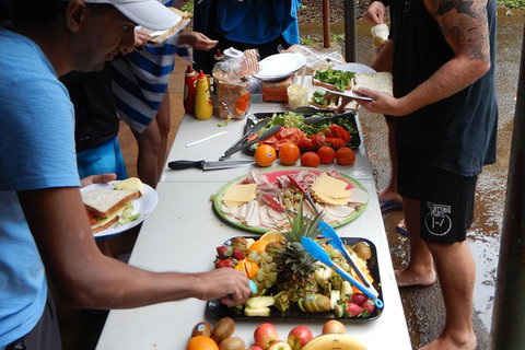 Atherton Tablelands Waterfalls Tour From Cairns - Surfers Gold Coast 2