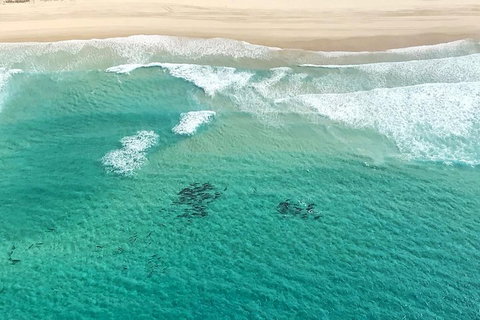 Coastal Helicopter Shared Flight - 20 Minutes - Surfers Gold Coast 4