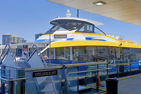 Brisbane City Essentials Walking Tour - Surfers Gold Coast 3