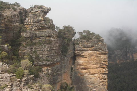Private Blue Mountains Tour With Expert Guide - Surfers Gold Coast 5