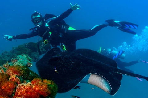 Scuba Dive The S.S. Yongala Wreck On The Great Barrier Reef. - Surfers Gold Coast 0