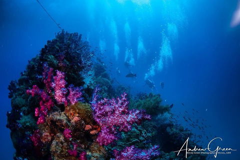 Scuba Dive The S.S. Yongala Wreck On The Great Barrier Reef. - Surfers Gold Coast 2