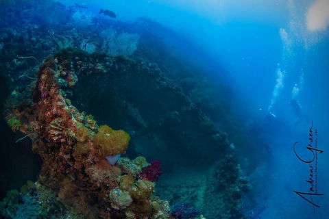 Scuba Dive The S.S. Yongala Wreck On The Great Barrier Reef. - Surfers Gold Coast 3