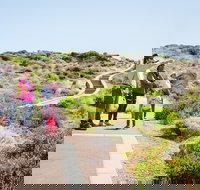 Margaret River Coastal and Wildlife Eco Trip from Busselton or Dunsborough - Surfers Gold Coast